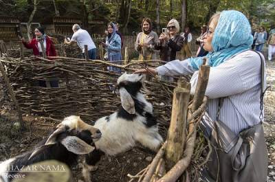حظ مهمانان خارجی در میزبان حظ مهمانان خارجی در میزبان